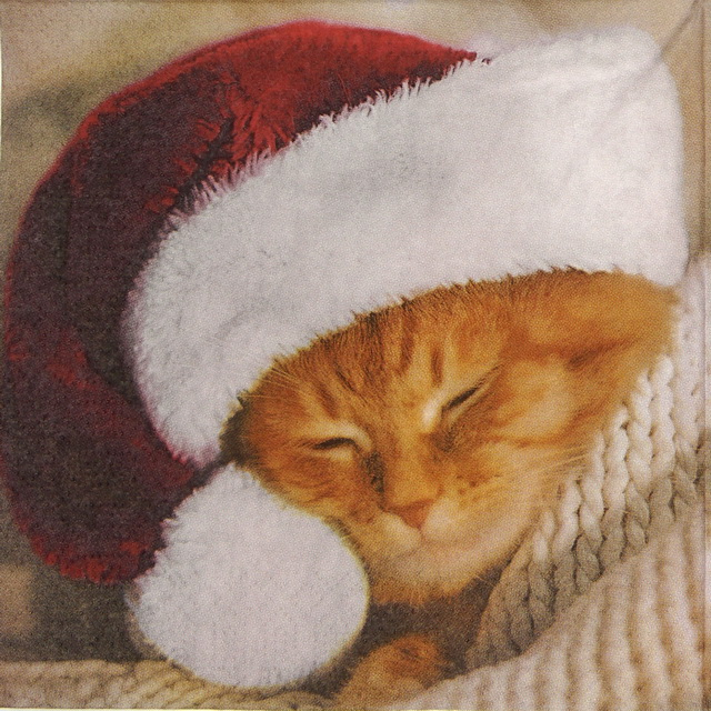 servetele-red-cat-dunicel-cute-cat-33x33-cm-922624